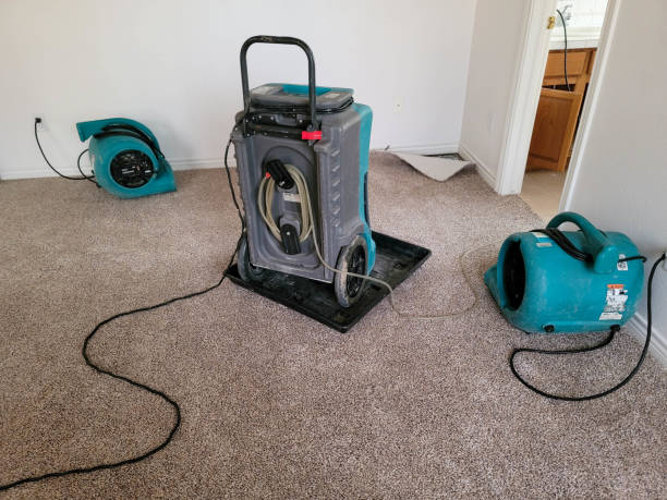 Best Basement water damage restoration  in Watsonville, CA