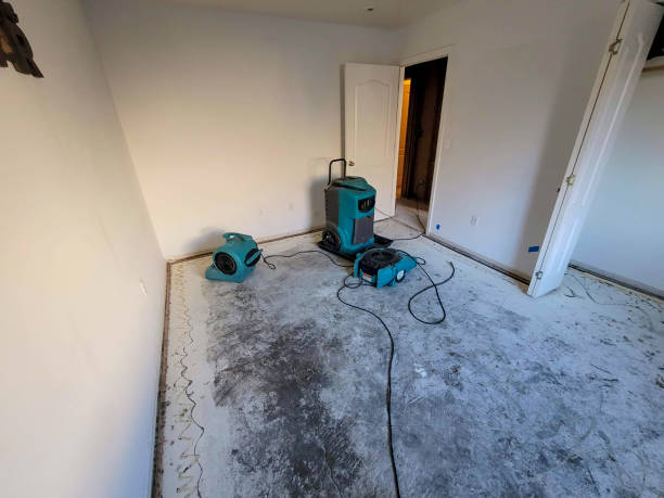 Best Professional water damage repair  in Watsonville, CA