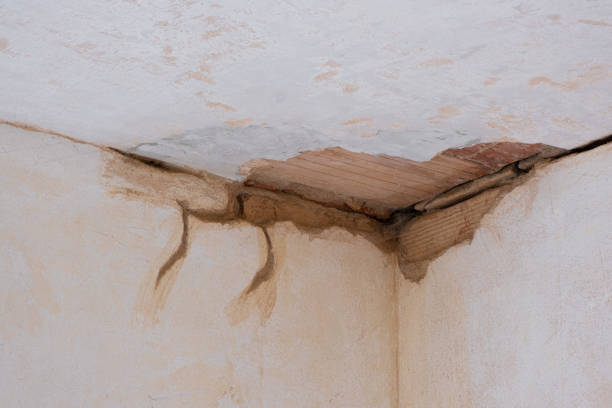 Best 24-hour water damage restoration  in Watsonville, CA