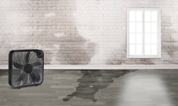 Best Ceiling water damage repair  in Watsonville, CA