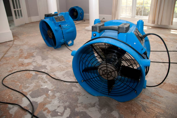 Best 24-hour water damage restoration  in Watsonville, CA