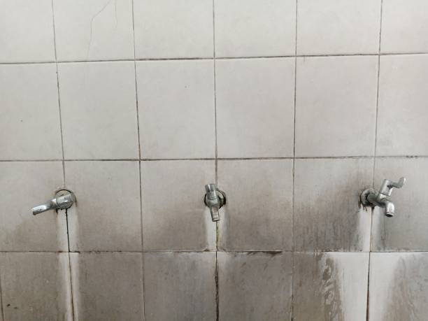 Best Flood damage cleanup  in Watsonville, CA