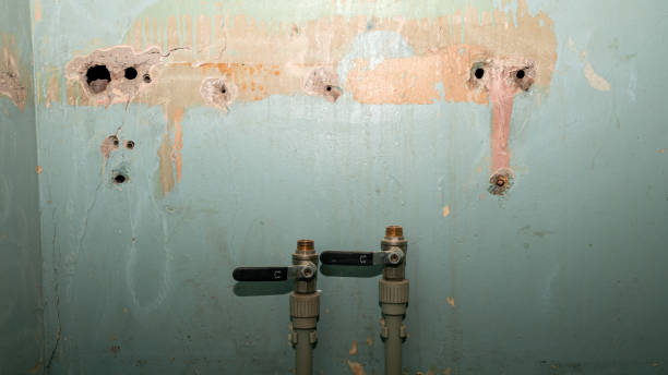 Best Local water damage restoration  in Watsonville, CA